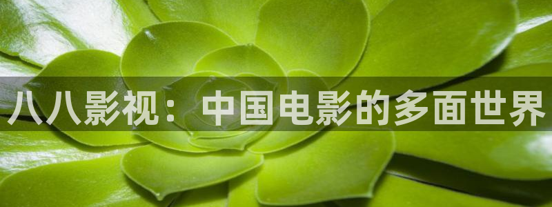 八戒影院在线观看免费：八八影视：中国电影的多面世界