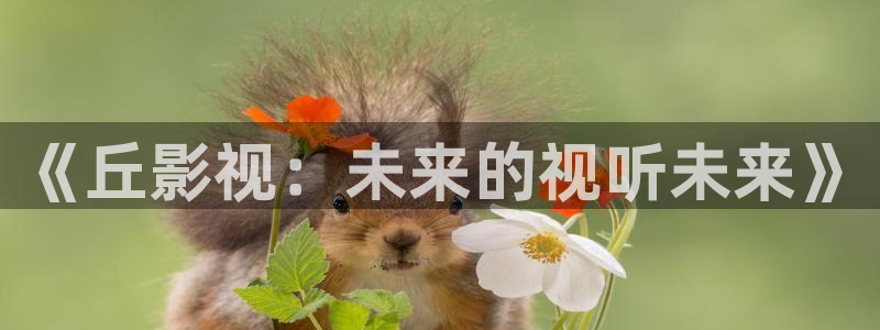 八戒成人私人影院：《丘影视：未来的视听未来》