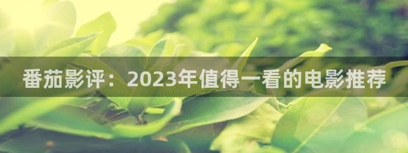 八戒午夜影视：番茄影评：2023年值得一看的电影推荐