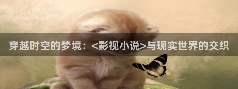 八戒影院伦理：穿越时空的梦境：<影视小说>与现实世界的交织