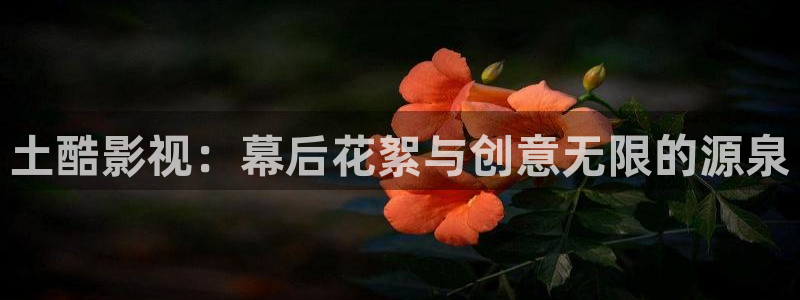 八戒电影院免费在线观看：土酷影视：幕后花絮与创意无限的源泉