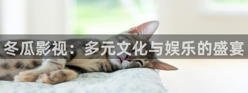 八戒影院在：冬瓜影视：多元文化与娱乐的盛宴